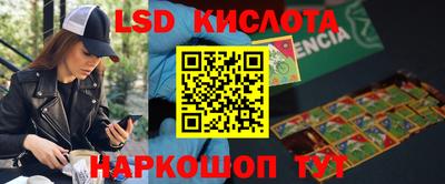 PSILOCYBIN Канаш