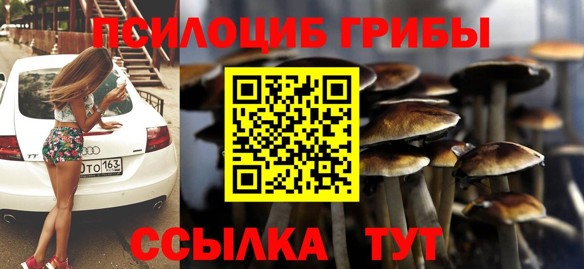 Псилоцибиновые грибы Psilocybine cubensis  Вход с VPN  Комсомольск-на-Амуре 