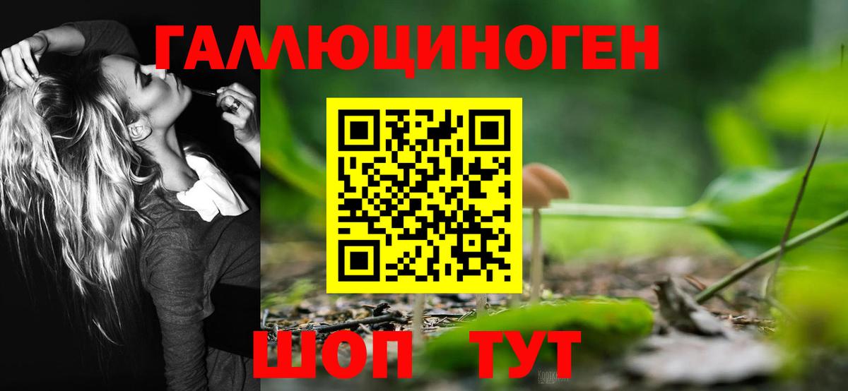 Галлюциногенные грибы Cubensis Комсомольск-на-Амуре
